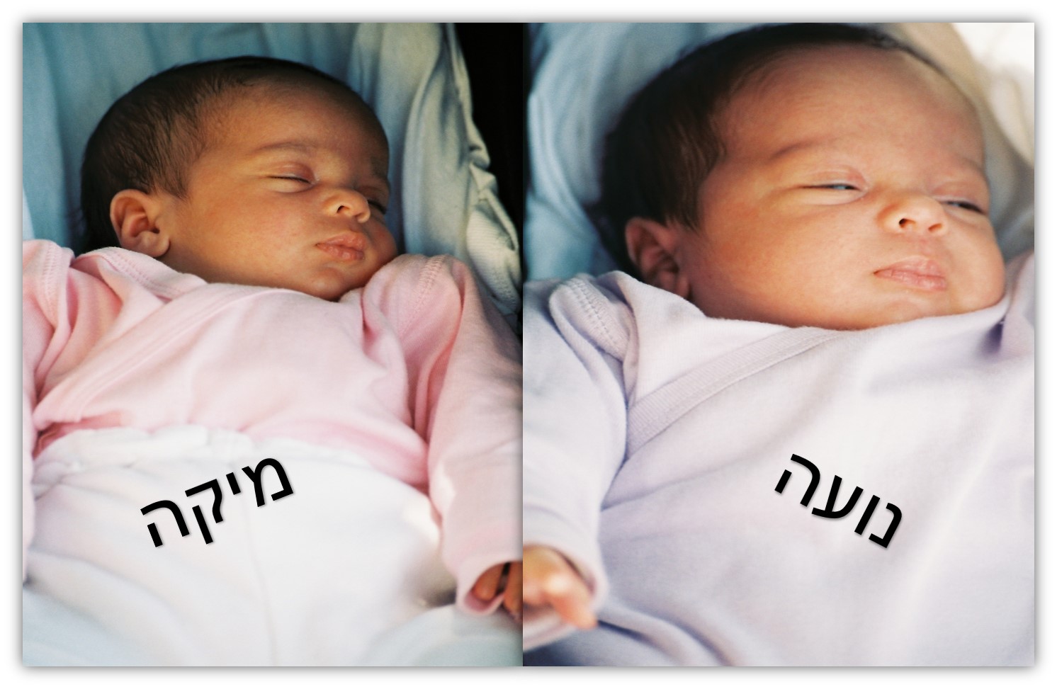 נועה ומיקה בת מצווה by haim abudraham - Illustrated by שירי וחיימון אבודרהם - Ourboox.com