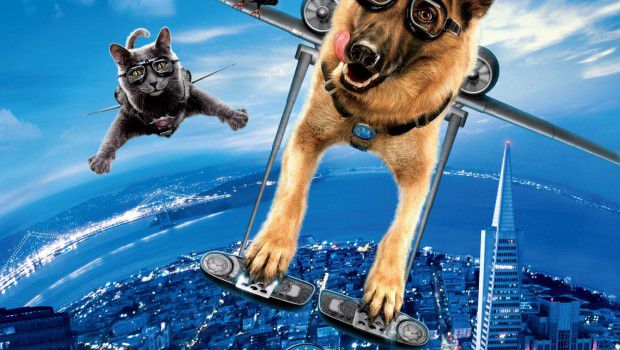 THE AMAZING CAT by sara - Ourboox.com