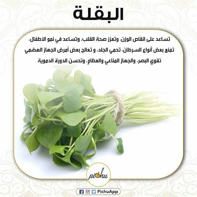 الفرفحينا by tamara - Illustrated by تمارا - Ourboox.com