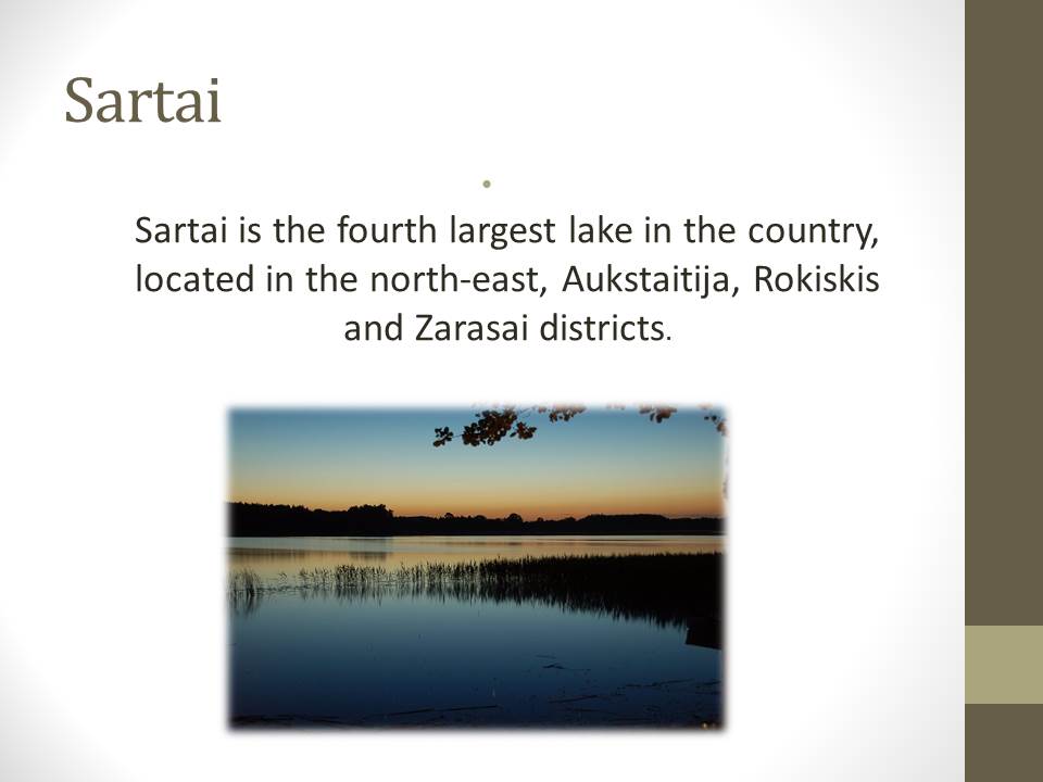 Horse race by Gustas - Ourboox.com