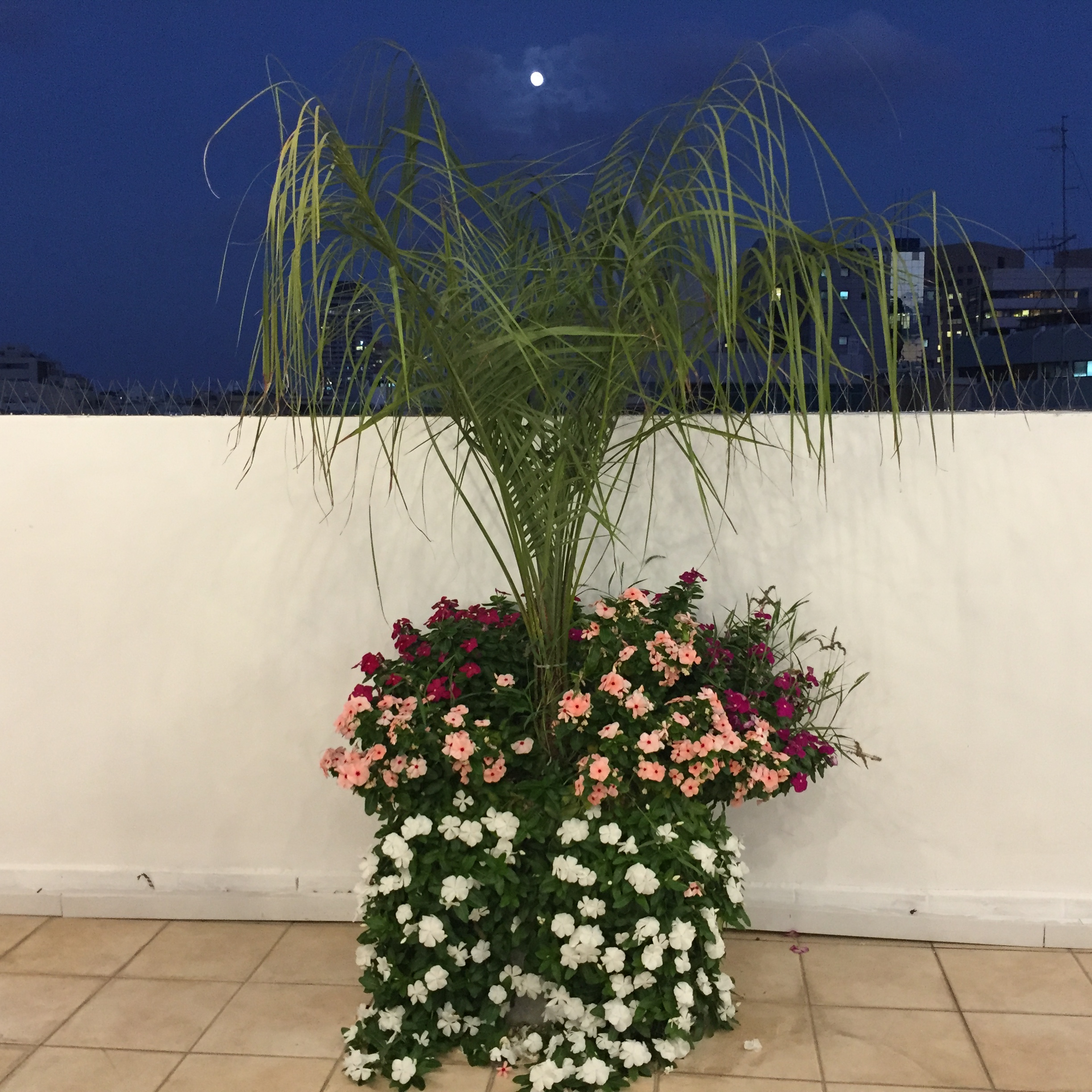 The Keter Center for Innovation at Shenkar College by Mel Rosenberg - מל רוזנברג - Ourboox.com