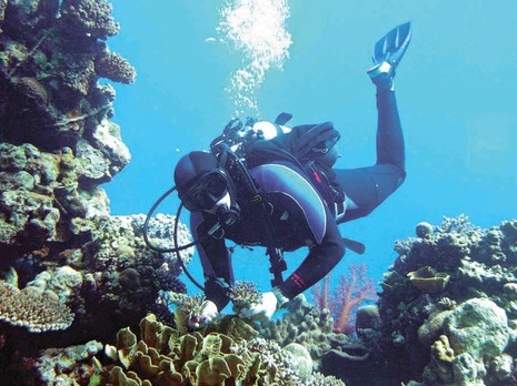 דג מחליף צבעים by isca cohen - Illustrated by מטח- המרכז לטכנולוגיה חינוכית - Ourboox.com