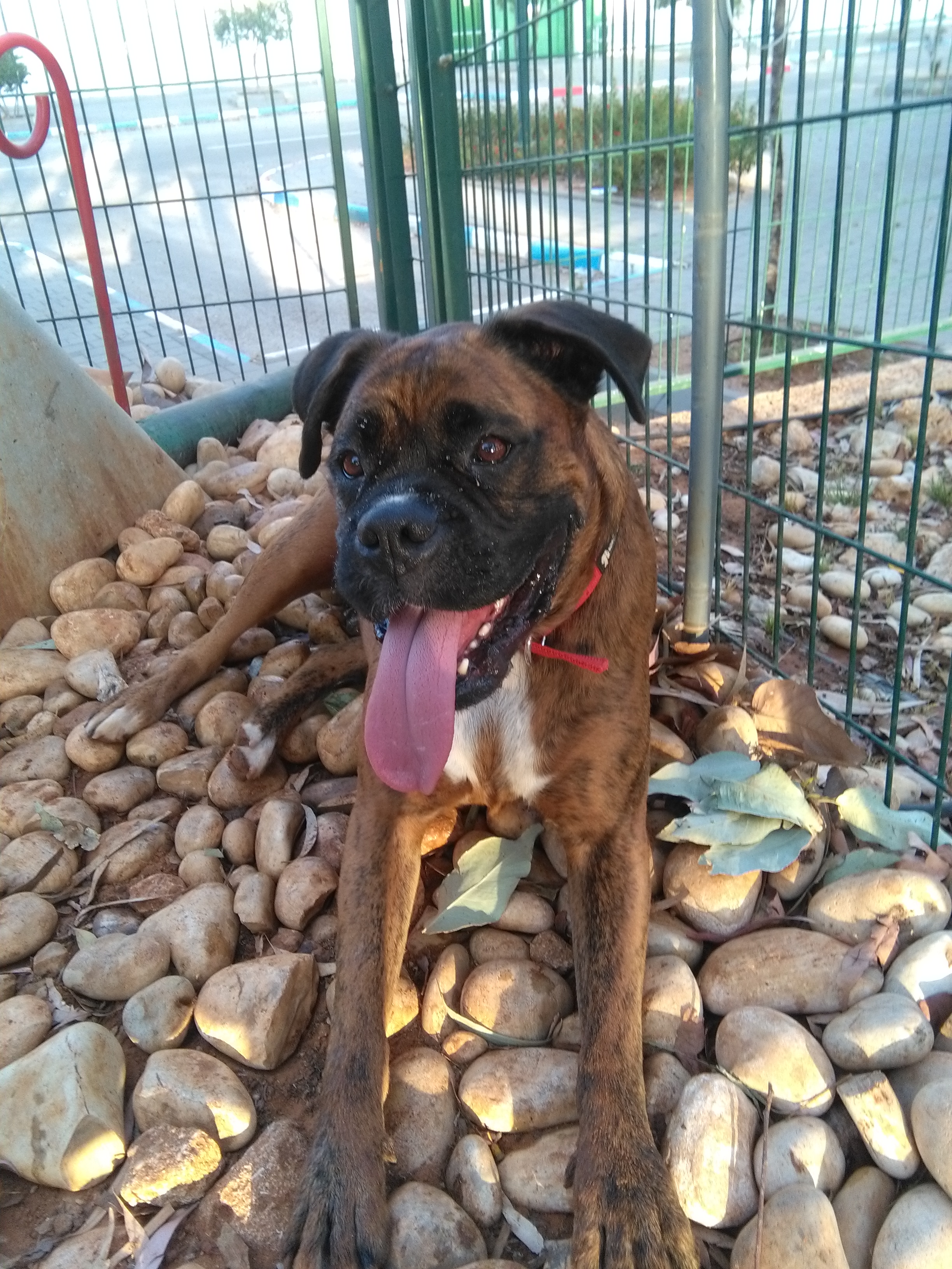 My life by Osnat hess - Illustrated by Lior Hess - Ourboox.com