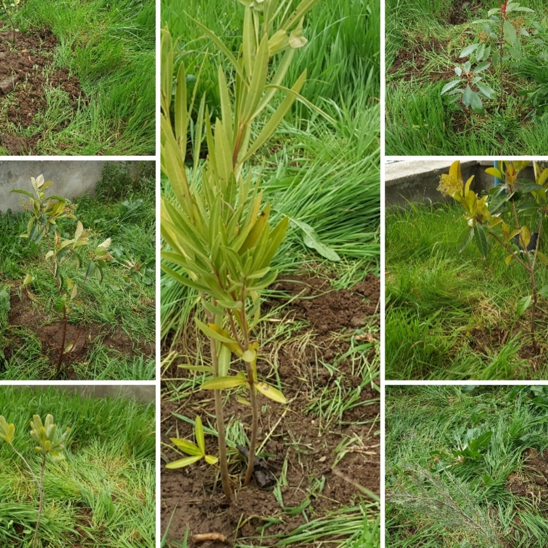 GELECEĞİNİZ İÇİN TASARRUFU SEÇİN PROJESİ MART AYI ÇALIŞMALARIMIZ by KEVSER - Illustrated by   - Ourboox.com