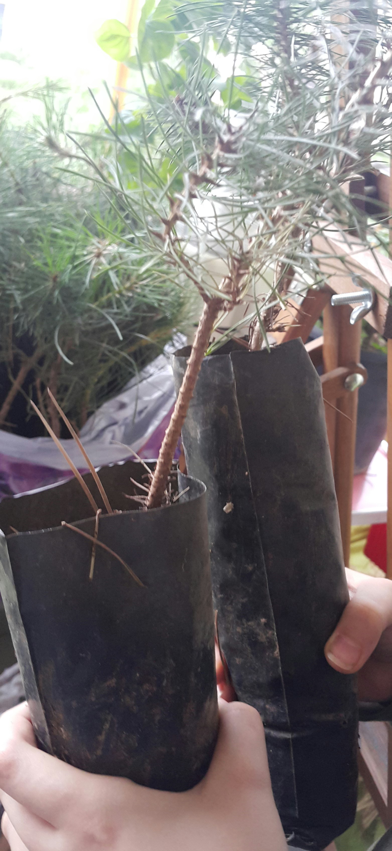 GELECEĞİNİZ İÇİN TASARRUFU SEÇİN PROJESİ MART AYI ÇALIŞMALARIMIZ by KEVSER - Illustrated by   - Ourboox.com