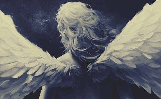 Discipline Makes Us Free by Diana Torres - Illustrated by Diana Torres - Ourboox.com