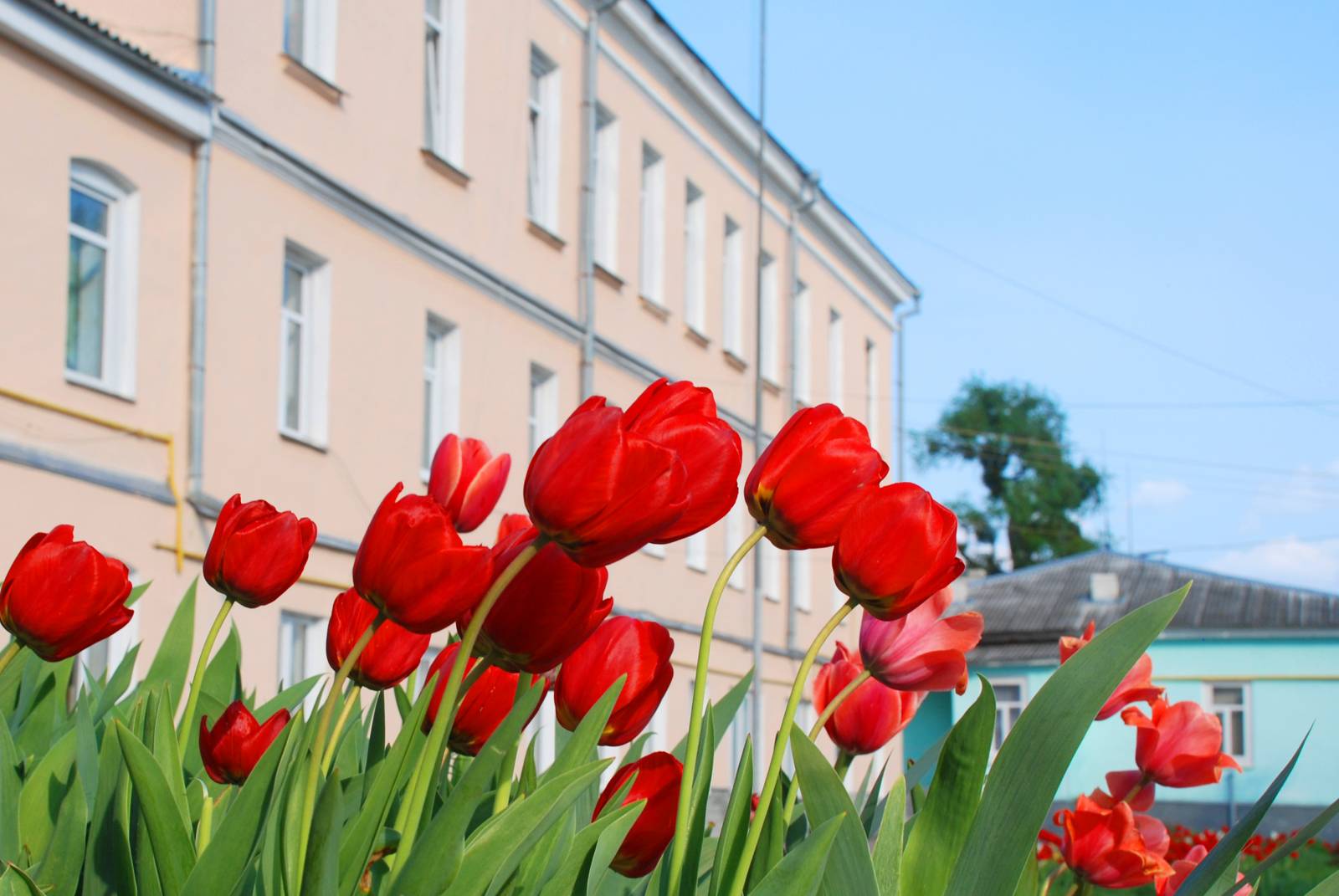 Школа by Grugil - Ourboox.com