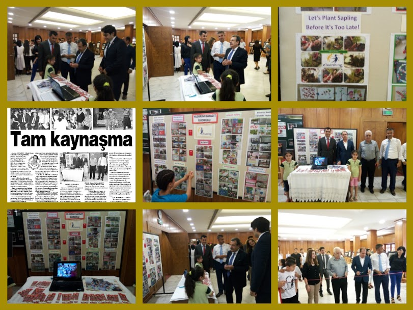 LET’S PLANT SAPLINGS BEFORE IT’S TOO LATE! MEDIA-EBA-EXHIBITION by Erol Yıldırım - Ourboox.com