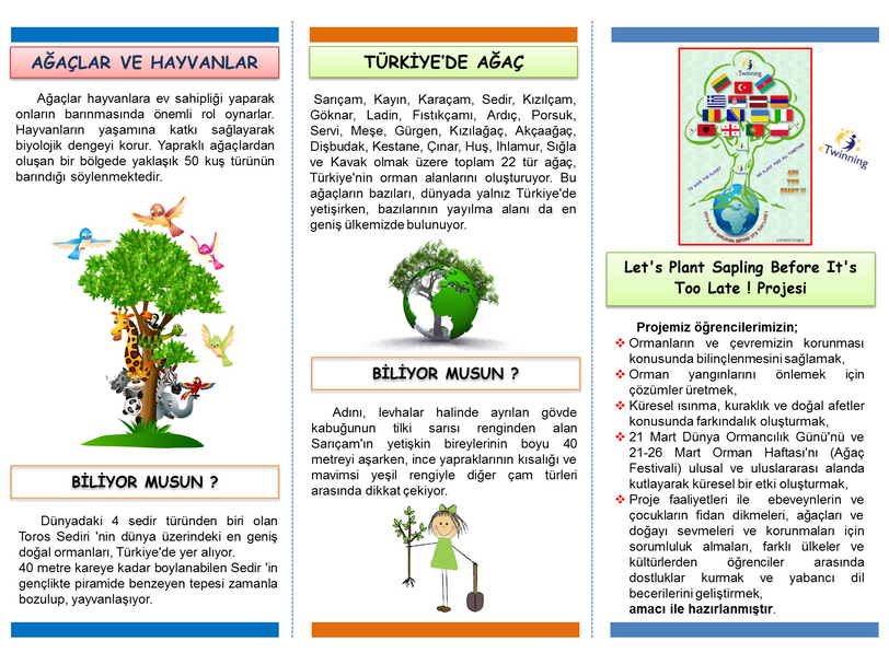 LET’S PLANT SAPLINGS BEFORE IT’S TOO LATE! MEDIA-EBA-EXHIBITION by Erol Yıldırım - Ourboox.com