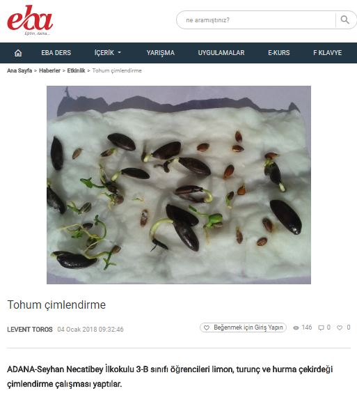 LET’S PLANT SAPLINGS BEFORE IT’S TOO LATE! MEDIA-EBA-EXHIBITION by Erol Yıldırım - Ourboox.com