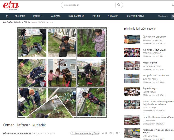 LET’S PLANT SAPLINGS BEFORE IT’S TOO LATE! MEDIA-EBA-EXHIBITION by Erol Yıldırım - Ourboox.com