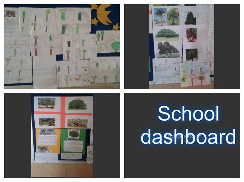 LET’S PLANT SAPLINGS BEFORE IT’S TOO LATE! MEDIA-EBA-EXHIBITION by Erol Yıldırım - Ourboox.com