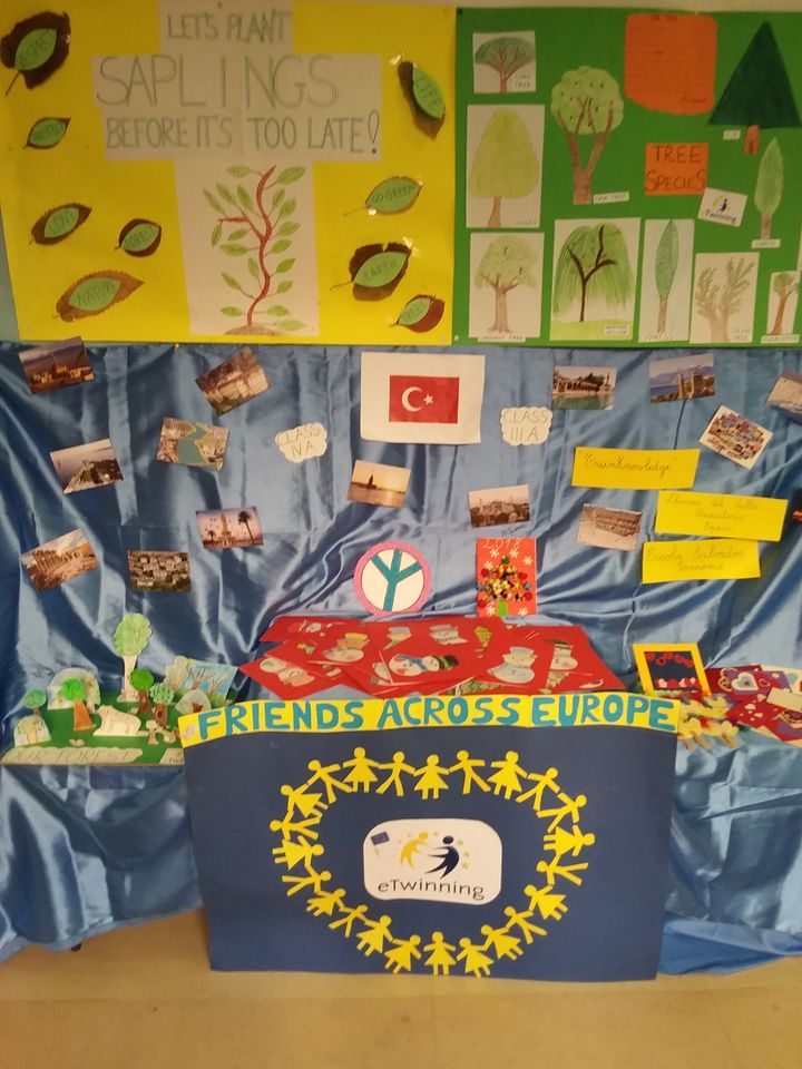 LET’S PLANT SAPLINGS BEFORE IT’S TOO LATE! MEDIA-EBA-EXHIBITION by Erol Yıldırım - Ourboox.com