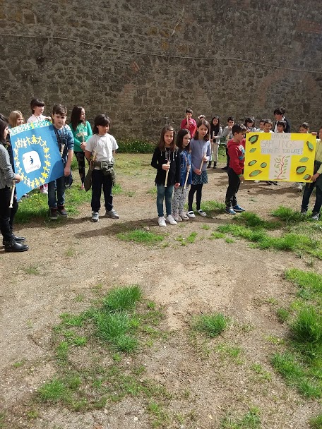 LET’S PLANT SAPLINGS BEFORE IT’S TOO LATE! MEDIA-EBA-EXHIBITION by Erol Yıldırım - Ourboox.com