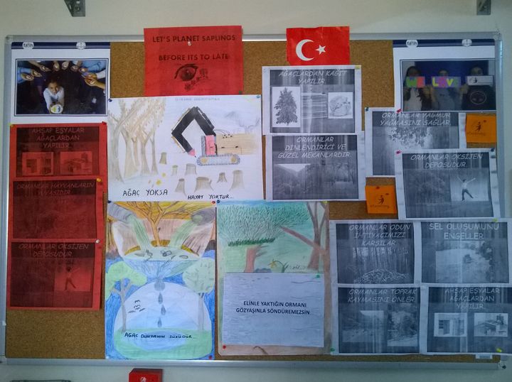 LET’S PLANT SAPLINGS BEFORE IT’S TOO LATE! MEDIA-EBA-EXHIBITION by Erol Yıldırım - Ourboox.com