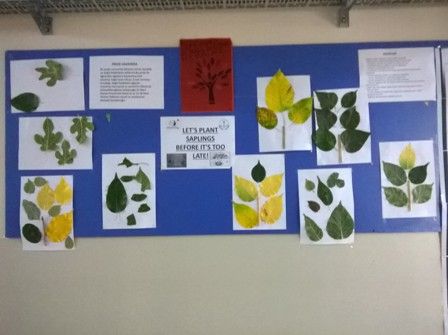 LET’S PLANT SAPLINGS BEFORE IT’S TOO LATE! MEDIA-EBA-EXHIBITION by Erol Yıldırım - Ourboox.com