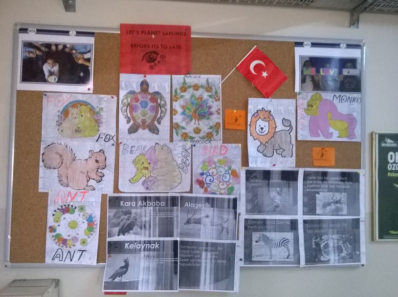 LET’S PLANT SAPLINGS BEFORE IT’S TOO LATE! MEDIA-EBA-EXHIBITION by Erol Yıldırım - Ourboox.com