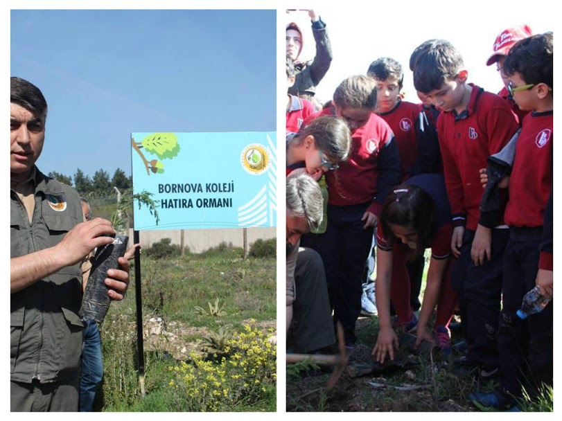 LET’S PLANT SAPLINGS BEFORE IT’S TOO LATE! MEDIA-EBA-EXHIBITION by Erol Yıldırım - Ourboox.com
