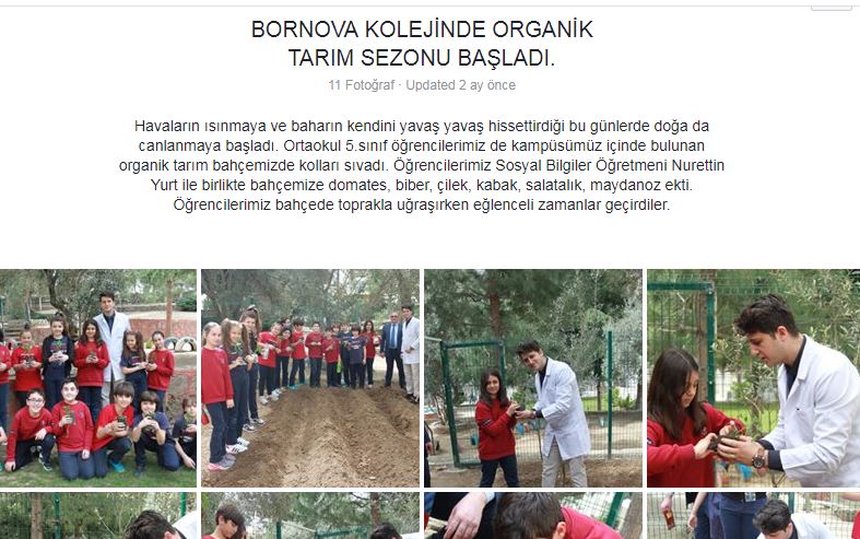 LET’S PLANT SAPLINGS BEFORE IT’S TOO LATE! MEDIA-EBA-EXHIBITION by Erol Yıldırım - Ourboox.com