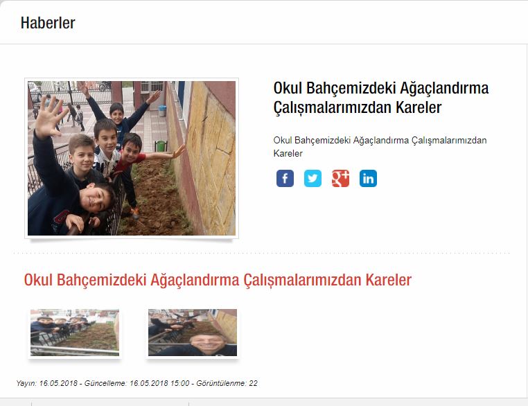 LET’S PLANT SAPLINGS BEFORE IT’S TOO LATE! MEDIA-EBA-EXHIBITION by Erol Yıldırım - Ourboox.com