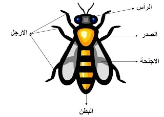 النحلة by sujud - Ourboox.com