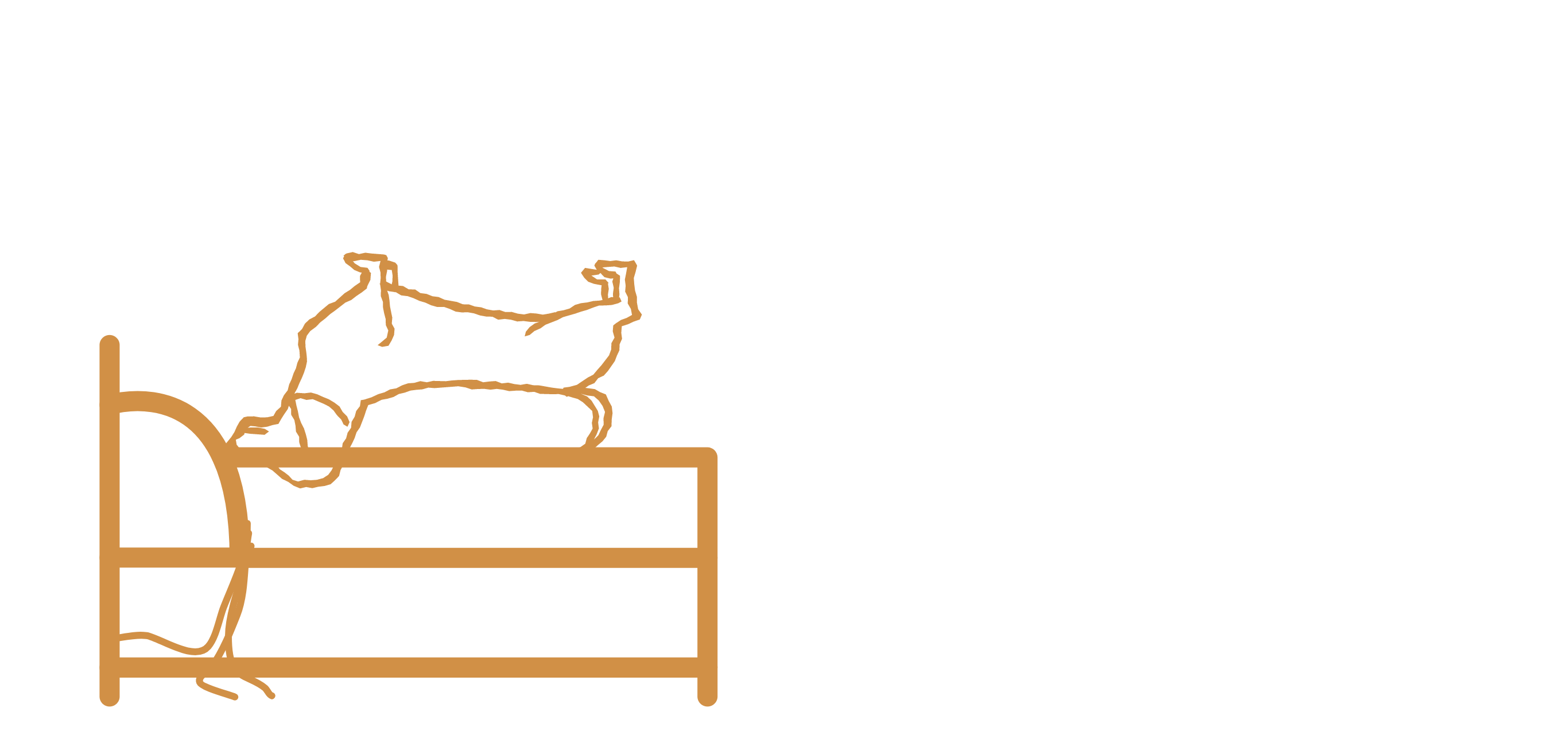 הכלב שהתעלף by shani zohar - Illustrated by ליאן בן חיון - Ourboox.com