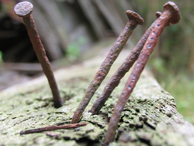 מסמרים בגדר by Naama elias - Illustrated by אורית ונעמה - Ourboox.com