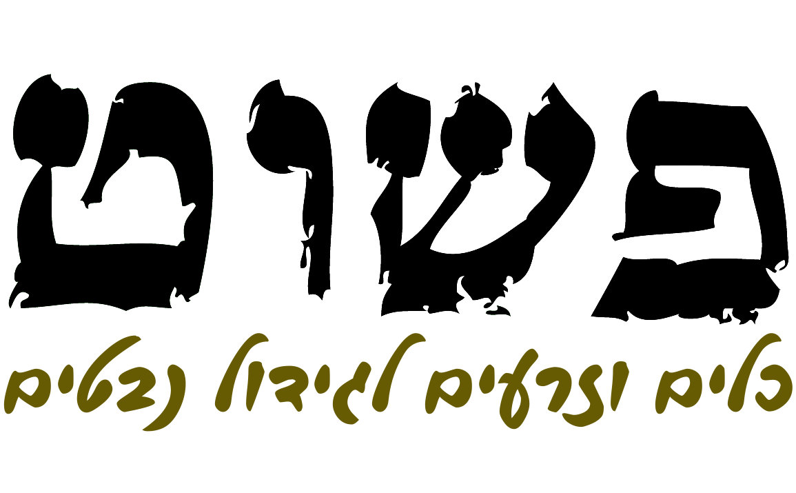 הוראות שימוש למנבטת חימר – פשוט by pashut - Illustrated by פשוט - Ourboox.com