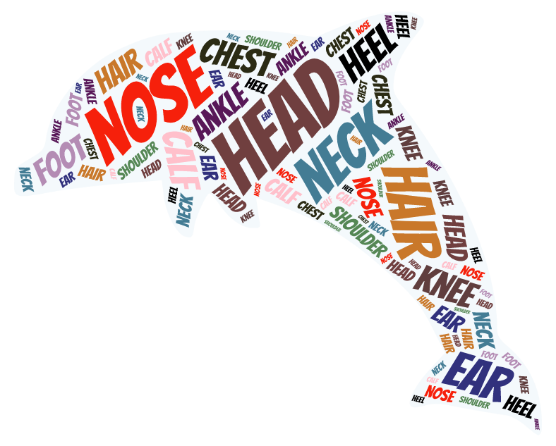 My Favourite Web2-Cem Sultan AİHL Ayça Küpecik by Ayça - Ourboox.com