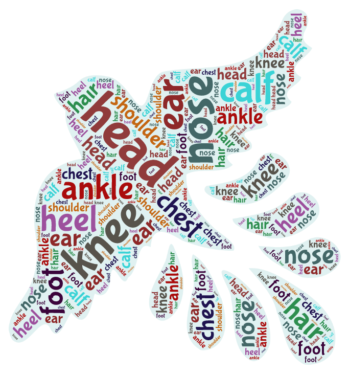 My Favourite Web2-Cem Sultan AİHL Ayça Küpecik by Ayça - Ourboox.com