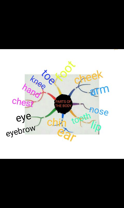 My Favourite Web2-Cem Sultan AİHL Ayça Küpecik by Ayça - Ourboox.com