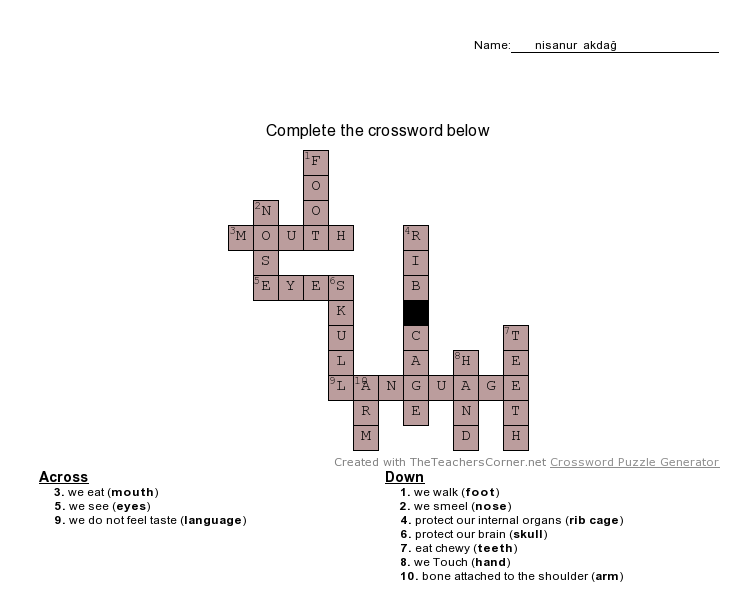 My Favourite Web2-Cem Sultan AİHL Ayça Küpecik by Ayça - Ourboox.com