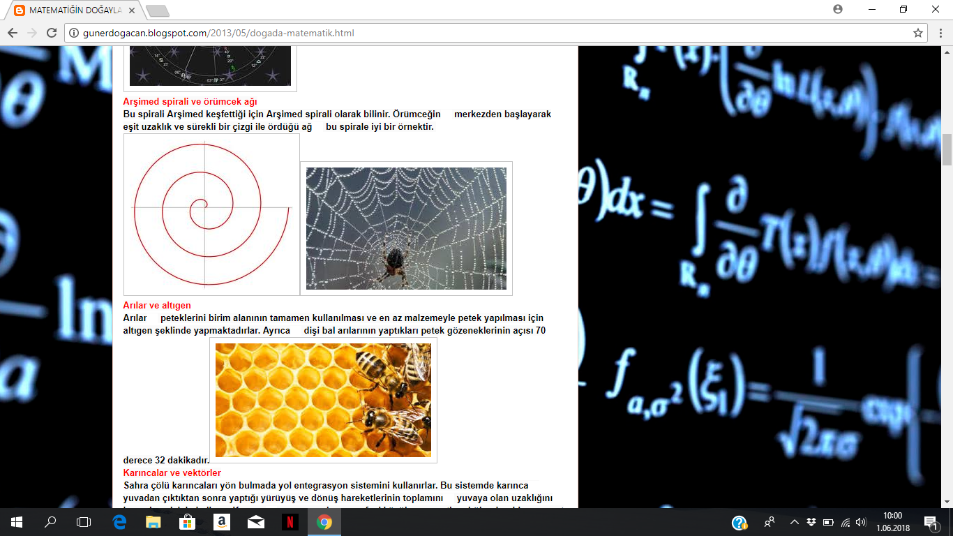 Matematiğin resmini çek by zerrin - Ourboox.com