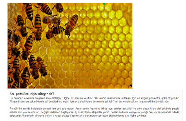 Matematiğin resmini çek by zerrin - Ourboox.com