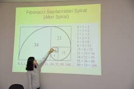 Matematiğin resmini çek by zerrin - Ourboox.com