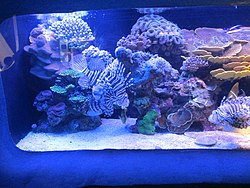 אתרי תיירות בארץ ישראל בהדרכת מיכל כהן by michal - Illustrated by מיכל כהן - Ourboox.com