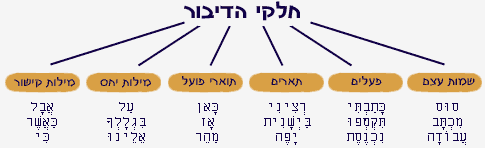 שם עצם by nagham atamny - Ourboox.com