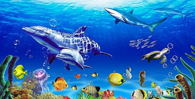 الاسماك ومميزاته by aseelsliman - Ourboox.com