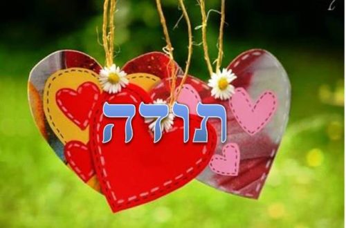 תלמידי ט’ 11 אומרים תודה לצוות המורים יוני 2018, תשע”ח by orasegal - Illustrated by תלמידי ט' 11 - Ourboox.com