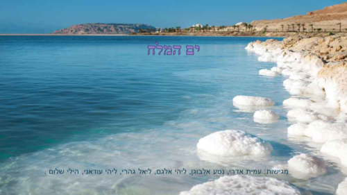 ים המלח by lihi alagem - Ourboox.com