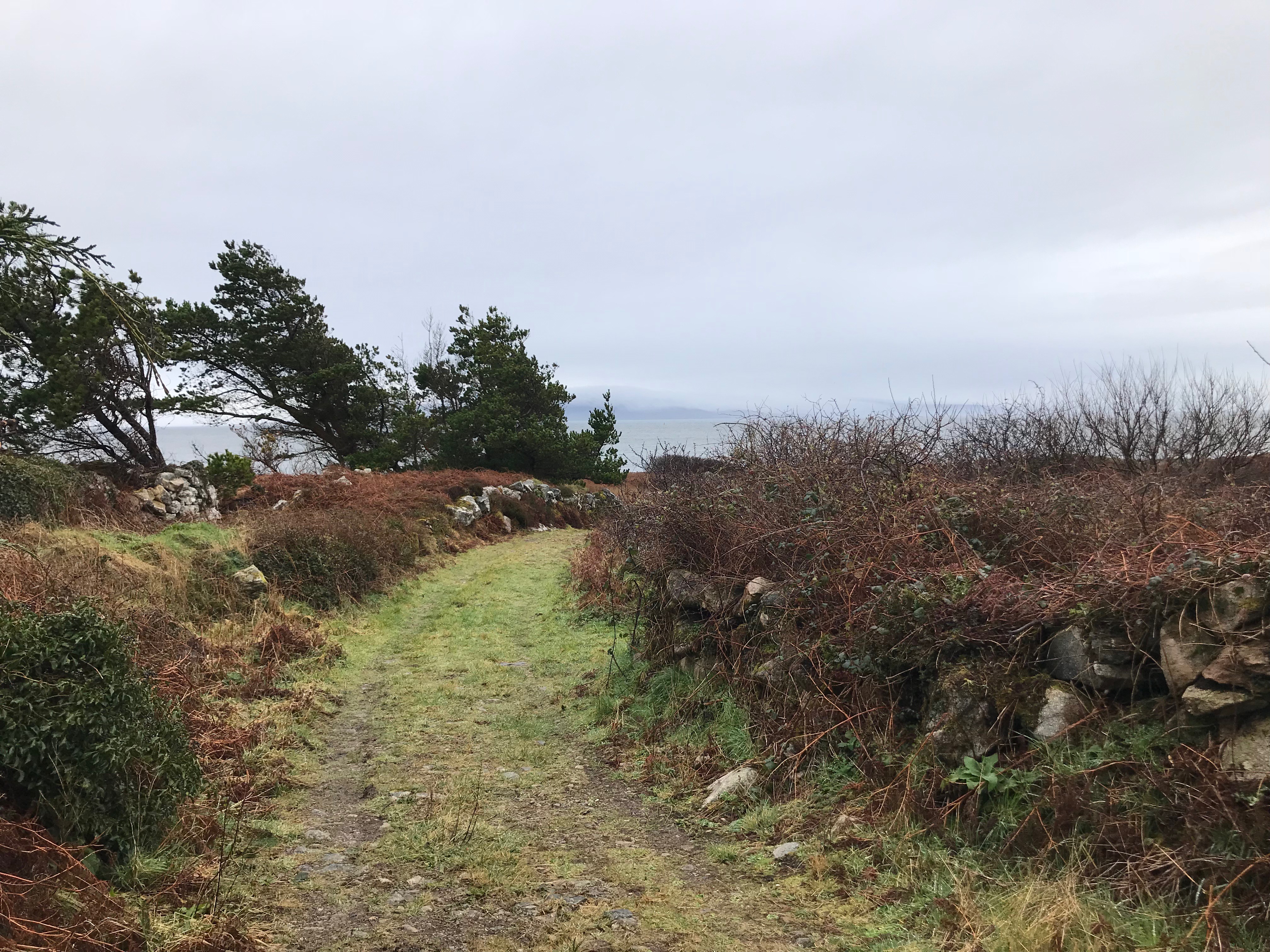 Sarah’s Book by Sarah Ruzicka - Illustrated by Sarah Ruzicka - Ourboox.com