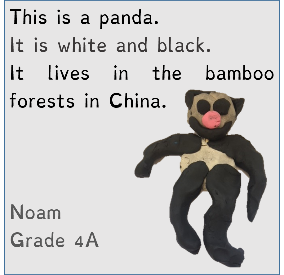 Masada’s Jungle Book by Meital - Ourboox.com