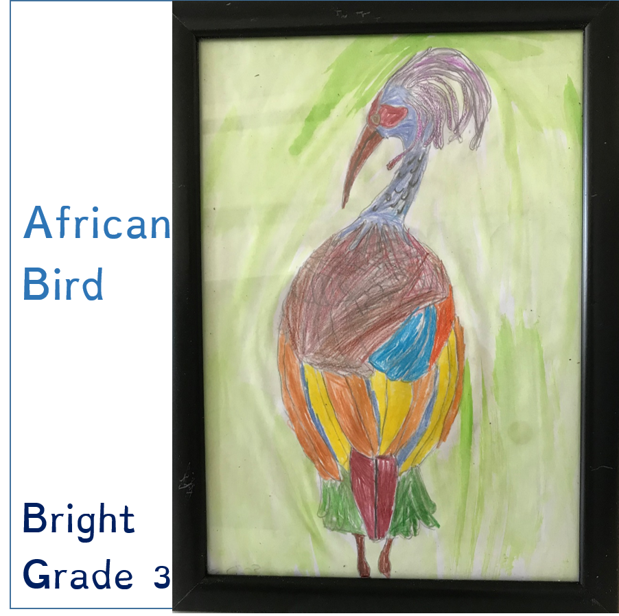 Masada’s Jungle Book by Meital - Ourboox.com