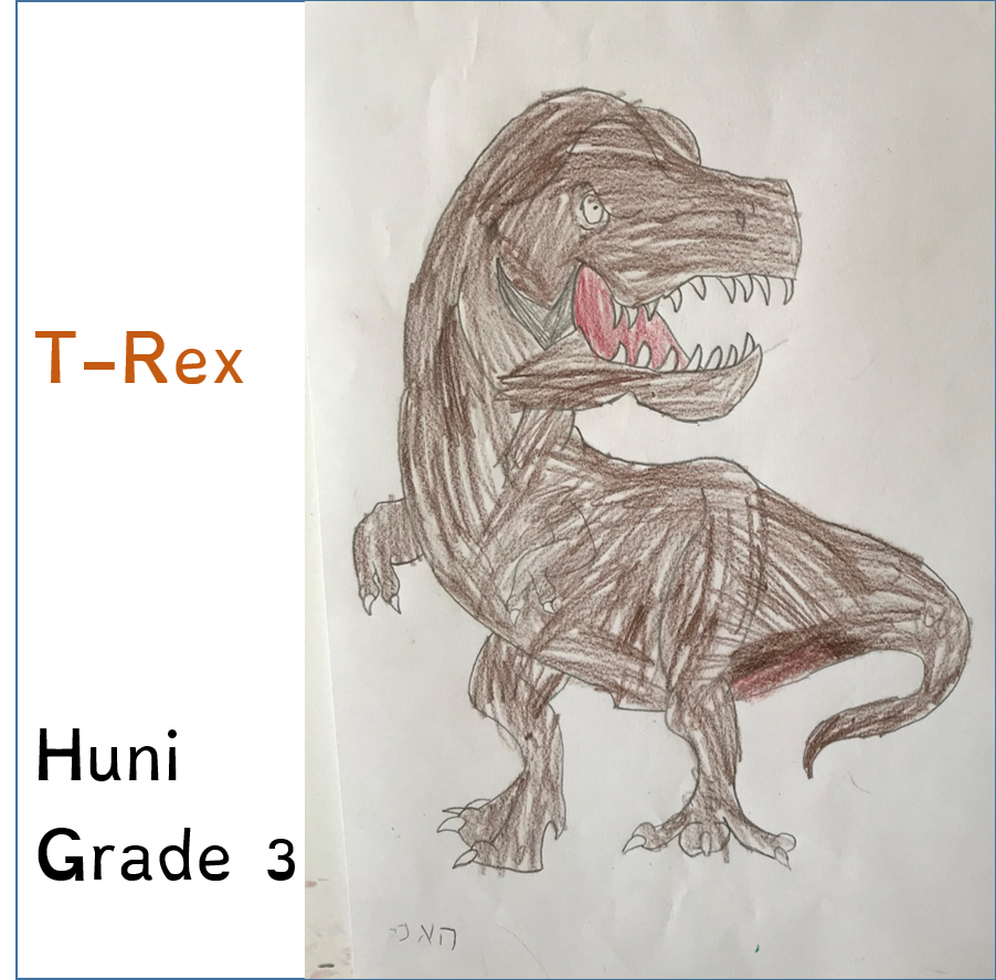 Masada’s Jungle Book by Meital - Ourboox.com