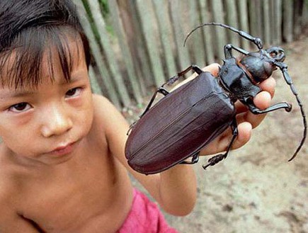 סי הגינס 2018 by lior khmelnytsky - Ourboox.com