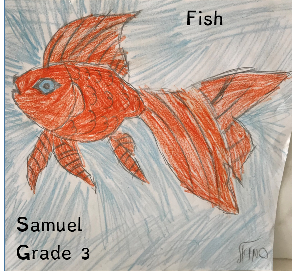 Masada’s Jungle Book by Meital - Ourboox.com