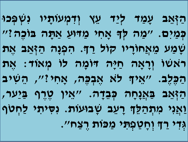 סיפור משל “הכלב והזאב”. by sojood jbareen - Illustrated by גבארין סוגוד - Ourboox.com