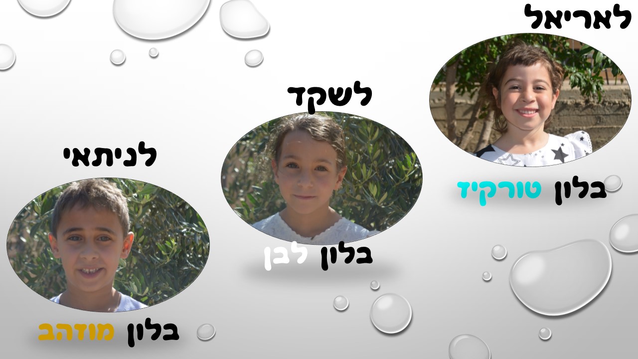 מעשה ב-12 בוגרים by usiskin - Ourboox.com