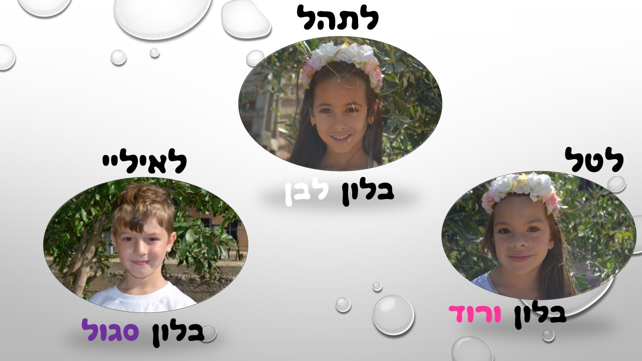 מעשה ב-12 בוגרים by usiskin - Ourboox.com