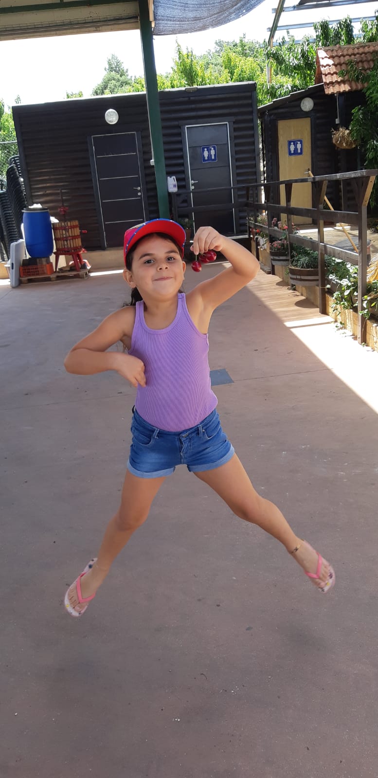 מעשה ב-12 בוגרים by usiskin - Ourboox.com